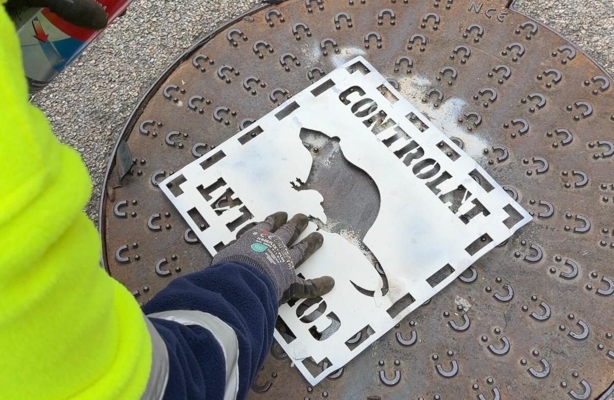Imatge de la notícia: L’Ajuntament reforça la campanya per prevenir i combatre les plagues típiques durant l’estiu